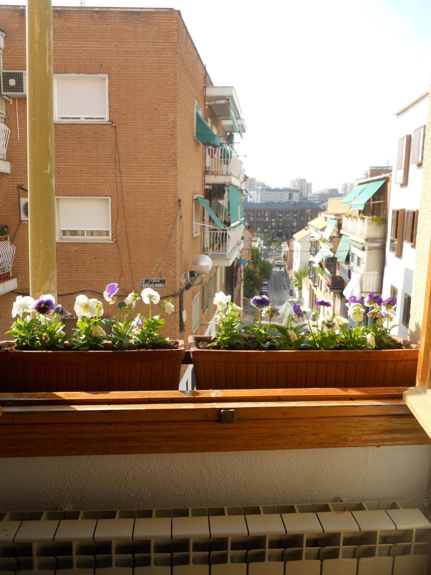 El Descanso Madri